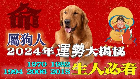 1994屬狗|生肖狗: 性格，愛情，2024運勢，生肖1994，2006，2018